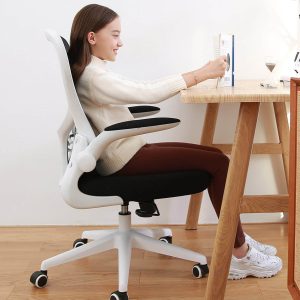 صندلی اداری ارگونومیک شیائومی   Xiaomi Youpin Hbada Ergonomic Office Chair J3