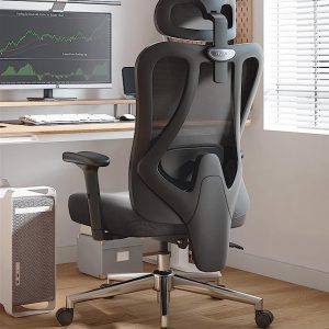 صندلی اداری ارگونومیک شیائومی Xiaomi  Hbada Ergonomic Office Chair P3